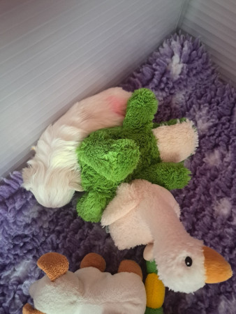 12-08-25 10.26 uur Graham.